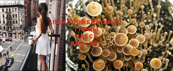 героин Пестово