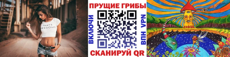 Купить где  Шадринск  Псилоцибиновые грибы Psilocybine cubensis 